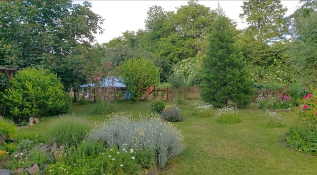 Orangerie Zimmer Gehaichnishof 7Born Maring-Noviand Esterno foto