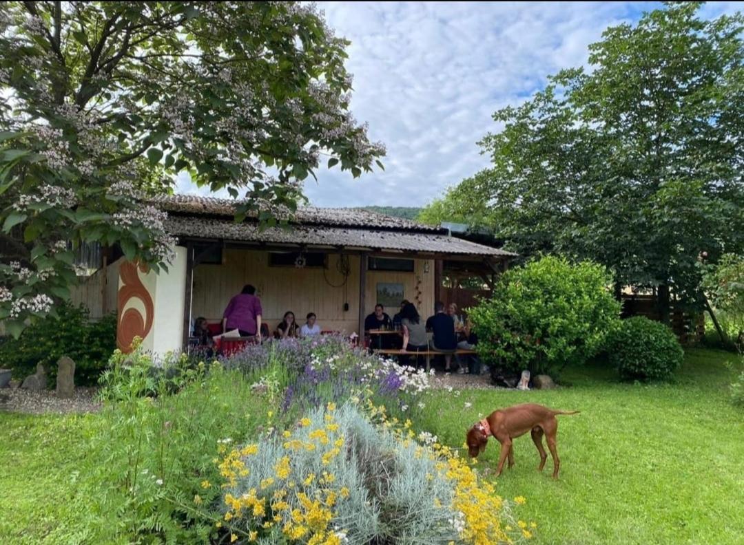 Orangerie Zimmer Gehaichnishof 7Born Maring-Noviand Esterno foto