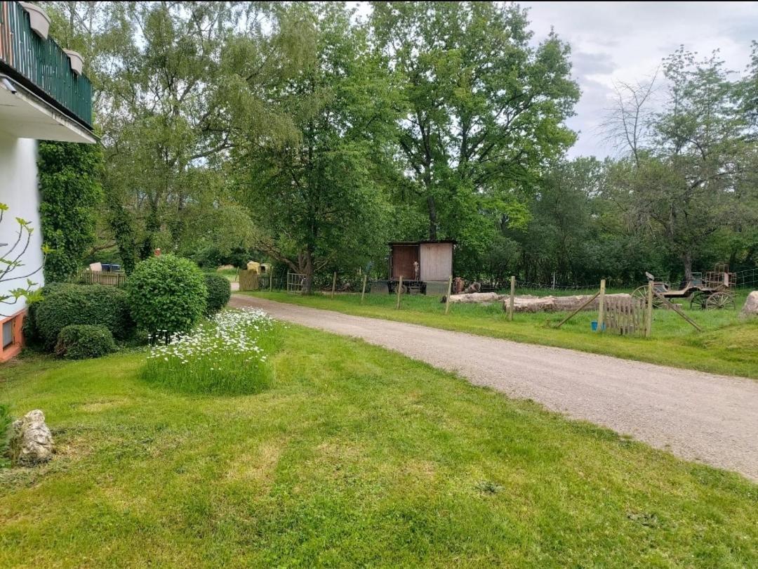 Orangerie Zimmer Gehaichnishof 7Born Maring-Noviand Esterno foto